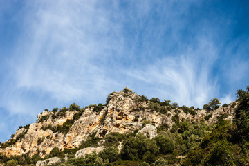 Scarp