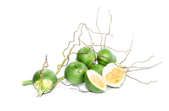 Betel  Nuts
