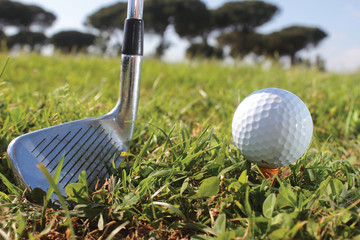 Golf putter and ball