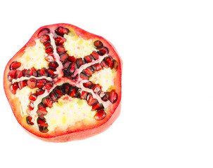 Pomegranate fruit with red seed with white background