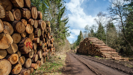 Stock de grumes