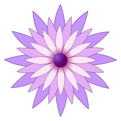 Fototapeta premium purple flower