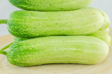 Cucumber