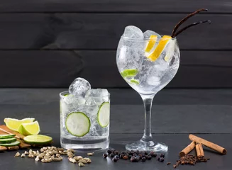 Fotobehang Gin tonic cocktail met lima komkommer vanille kruidnagel kardemom © lunamarina