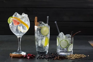 Fotobehang Gin tonic cocktails met lima komkommer en grapefruit © lunamarina
