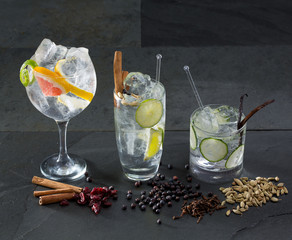 Gin tonic cocktails with lima cucumber and grapefruit