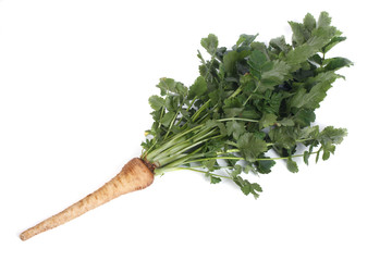 parsnip with green leaves isolated on white background - obrazy, fototapety, plakaty