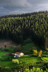 typical basque country house in countryside