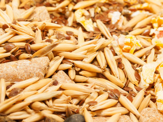 muesli for horse background. macro