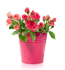 bouquet of roses in a bucket