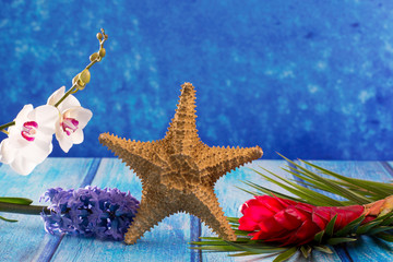 starfish with hyacinth flower and white orchid on blue wood