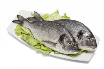 Fresh fish
