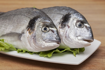 Fresh fish