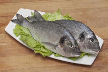 Fresh fish