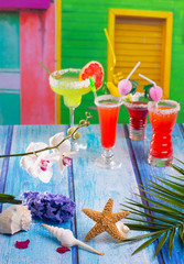 Cocktails margarita sex on the beach in tropical house