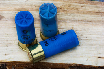 Hunting cartridges for shotgun