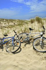 Fototapeta premium vélo sur les dunes