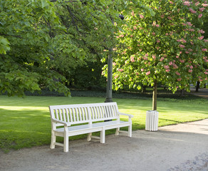 white bench in the park