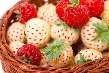 Ripe White and Red Strawberries in basket