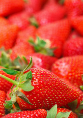Ripe Red strawberries