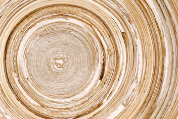 Winding bamboo texture