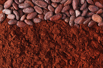 cocoa beans and powder background