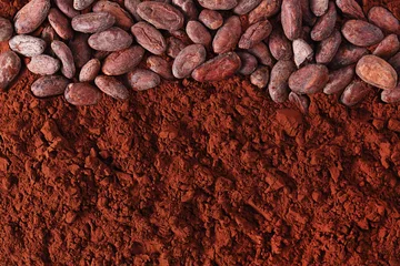 Foto op Canvas cocoa beans and powder background © Elena Moiseeva
