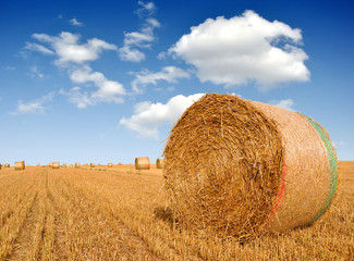 Straw bales with blue sky