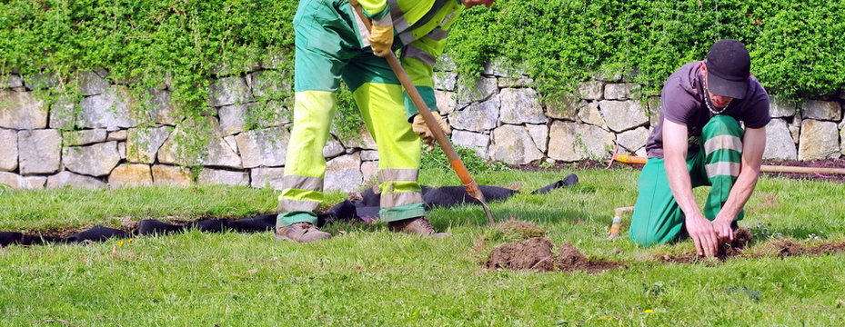 engazonnement d'un parc