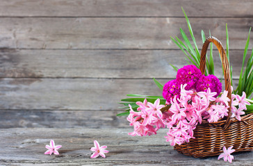 spring flowers on wooden background