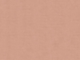 Fototapeta premium Seamless Tileable Cardboard Texture