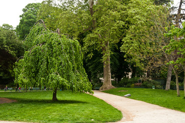 parc Monceau à Paris