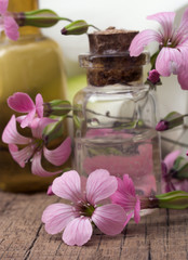 Obraz na płótnie Canvas spa settings with pink flowers