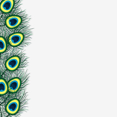 Obraz premium Background design with peacock feathers