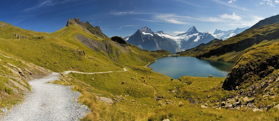 Swiss mountain Alps lake - Grindelwald