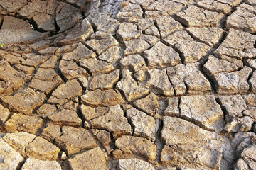 Dry and barren land