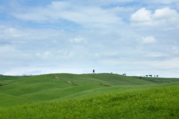 tuscany -  val d orcia