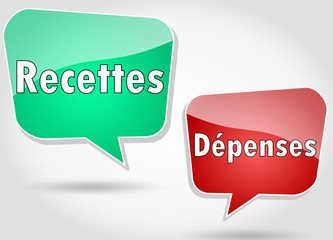 Bulles : Recettes Dépenses