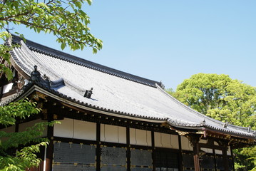 仁和寺　初夏の金堂