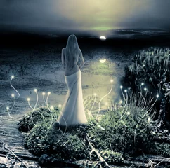 Fantasy magic world. Pixie and moon