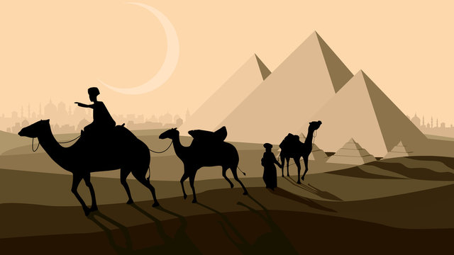 Vector bedouin caravan camels against over pyramids.