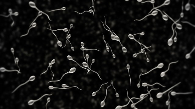 Generated sperm animation.