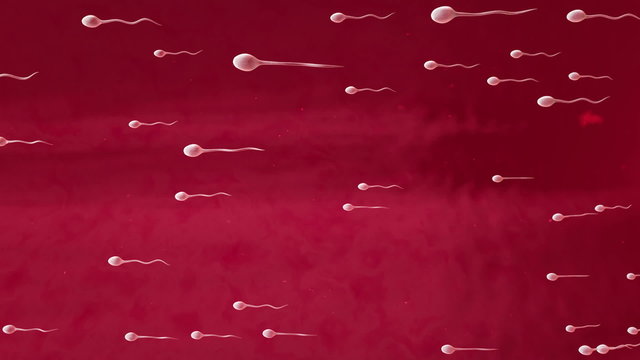 Generated sperm animation.
