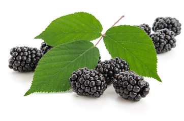 Brombeeren und Brombeerblätter