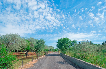 country road and clouds