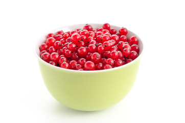 Rote Johannisbeeren