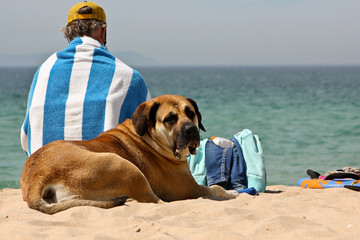 Hund und Herrchen am Strand