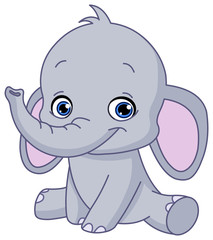Naklejka premium Baby elephant