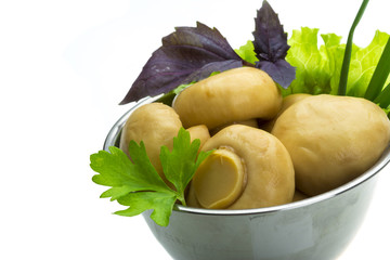 Ripe fresh Champignon