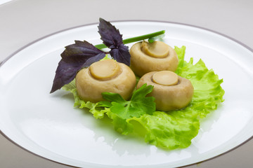Ripe fresh Champignon